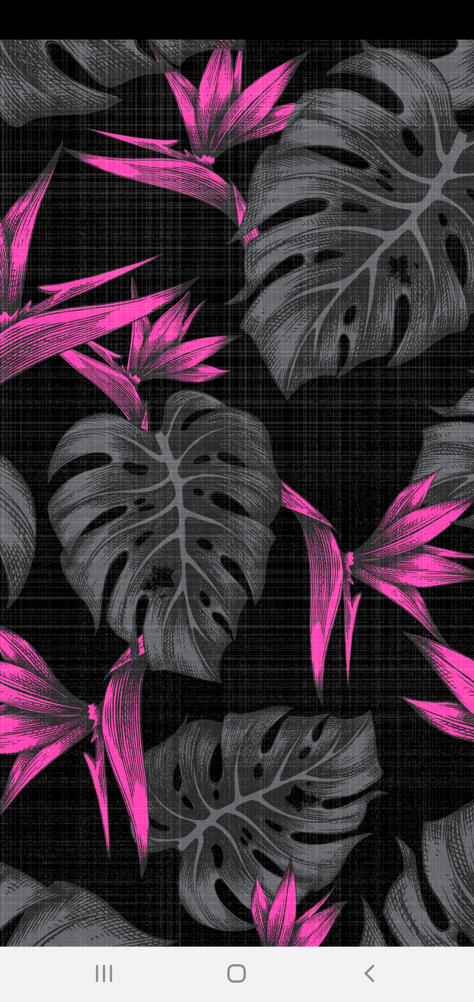 YOUTH GRAY/ PINK MONSTERA